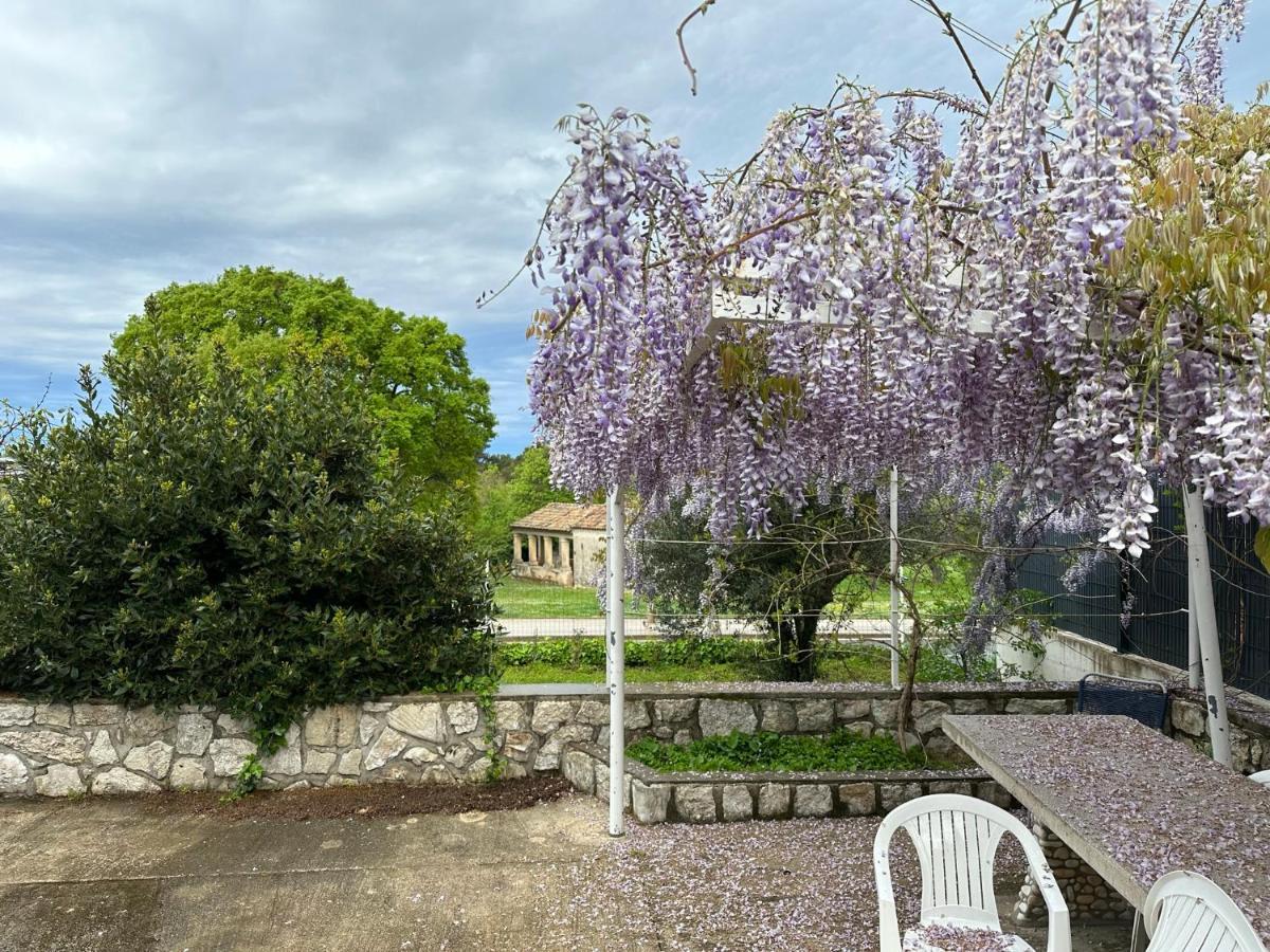 Vala Apartments Rovinj Exteriér fotografie